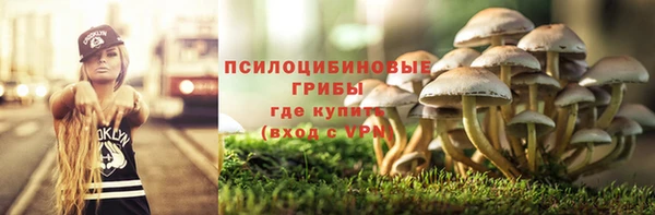 шишки Абинск