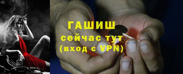 прущие грибы Абдулино