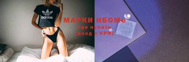 прущие грибы Абдулино