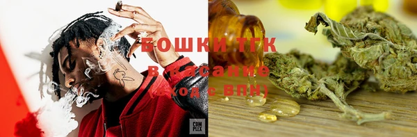 прущие грибы Абдулино