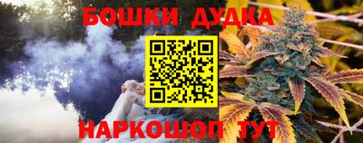 мдпв Будённовск