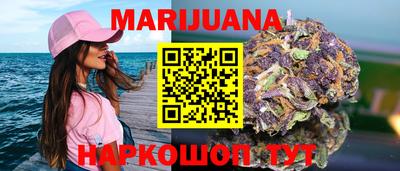 тгк Новозыбков
