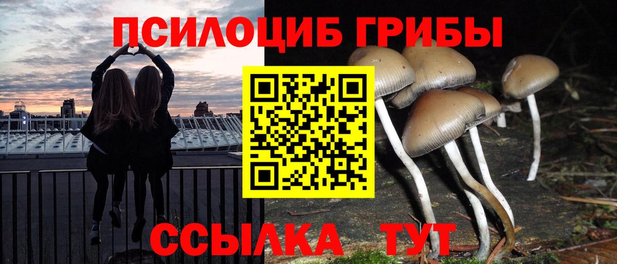 Галлюциногенные грибы Cubensis  Вход с VPN  Екатеринбург 